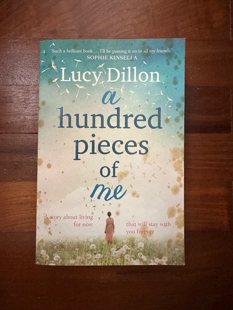 A Hundred Pieces of Me by Lucy Dillon