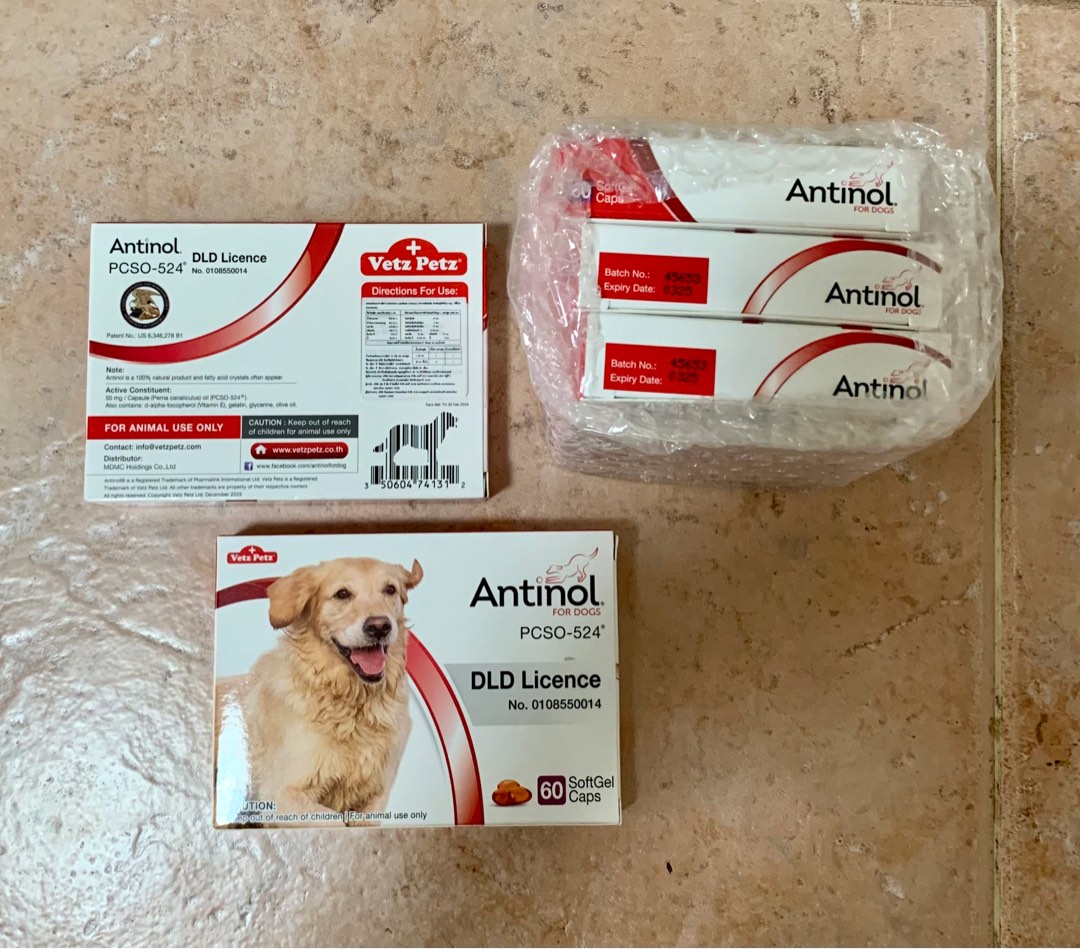 Antinol For Dogs joint supplement for senior dogs Pet Supplies