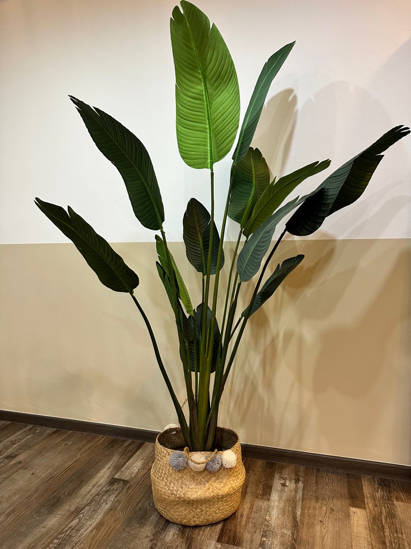 Artificial birds of paradise plant 1.8m, Furniture & Home Living, Home