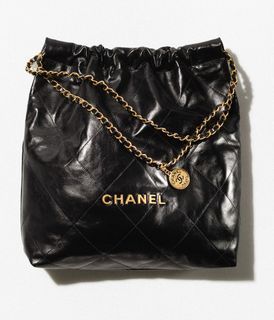 Bag Organizer for Chanel 22 Medium Handbag (Ref: AS3261) [Set of 2]