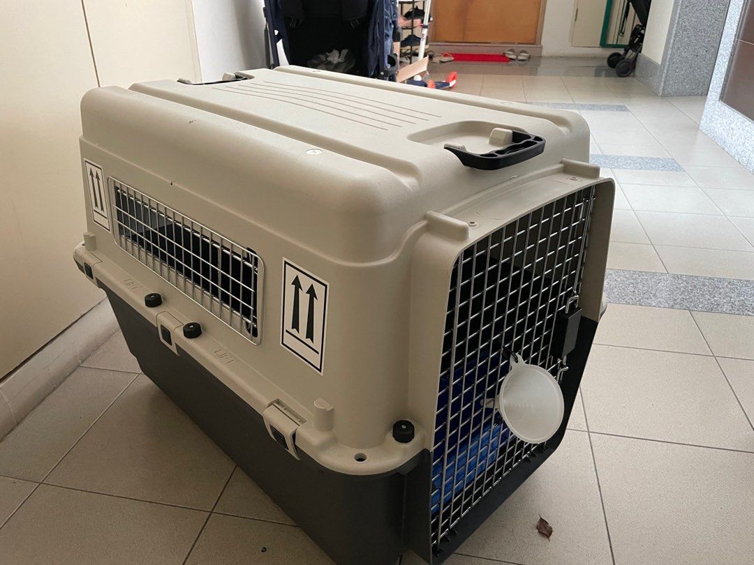 Dog carrier cage cargo, Pet Supplies, Homes & Other Pet Accessories on