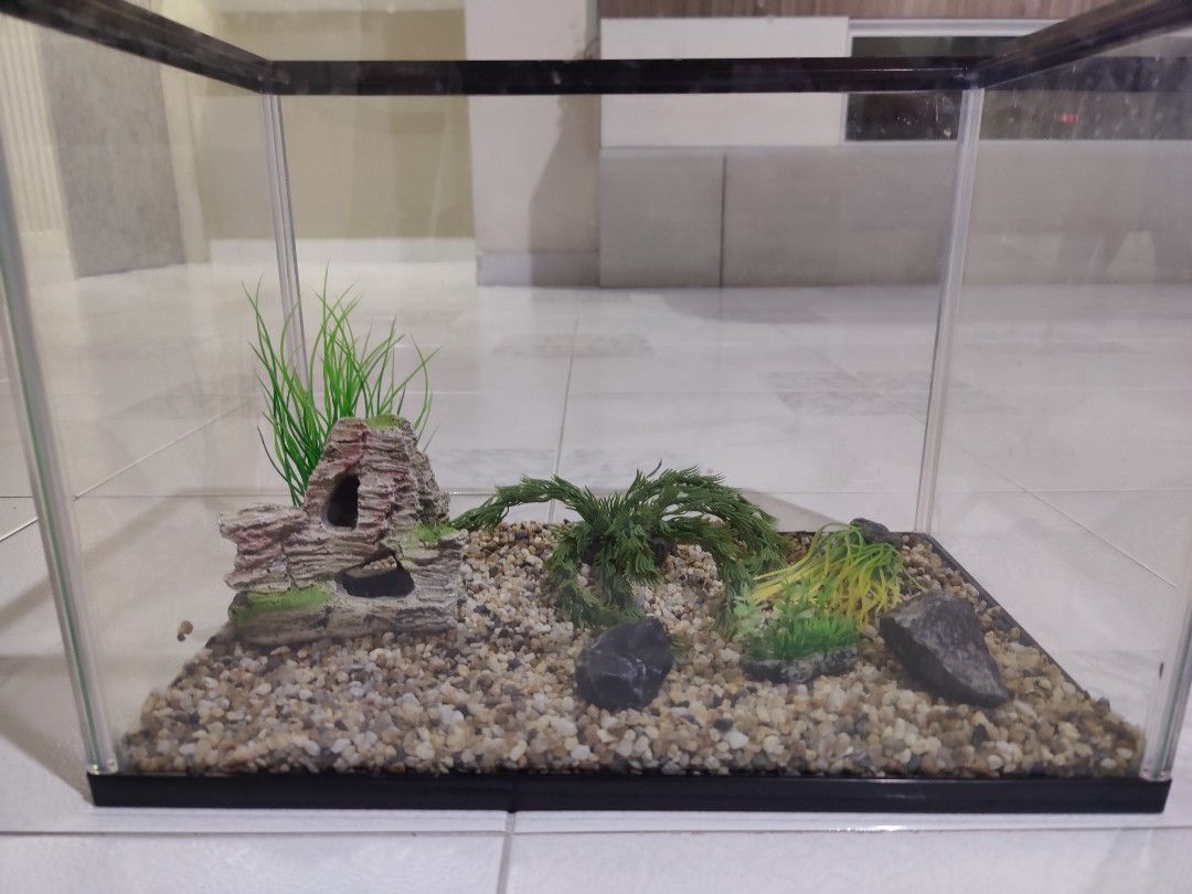 4 gallon new arrivals fish tank
