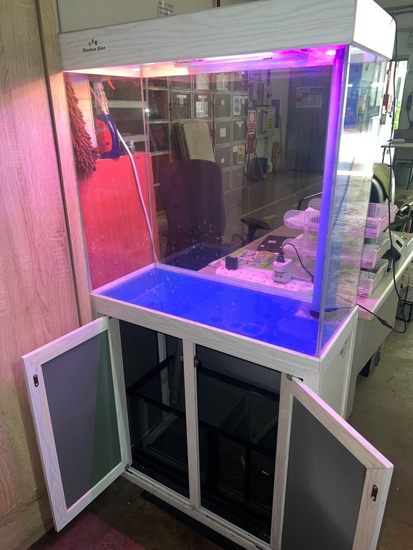 Fish tank with Pet Supplies, Homes & Other Pet Accessories on