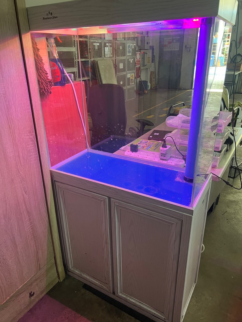 Fish tank with Pet Supplies, Homes & Other Pet Accessories on