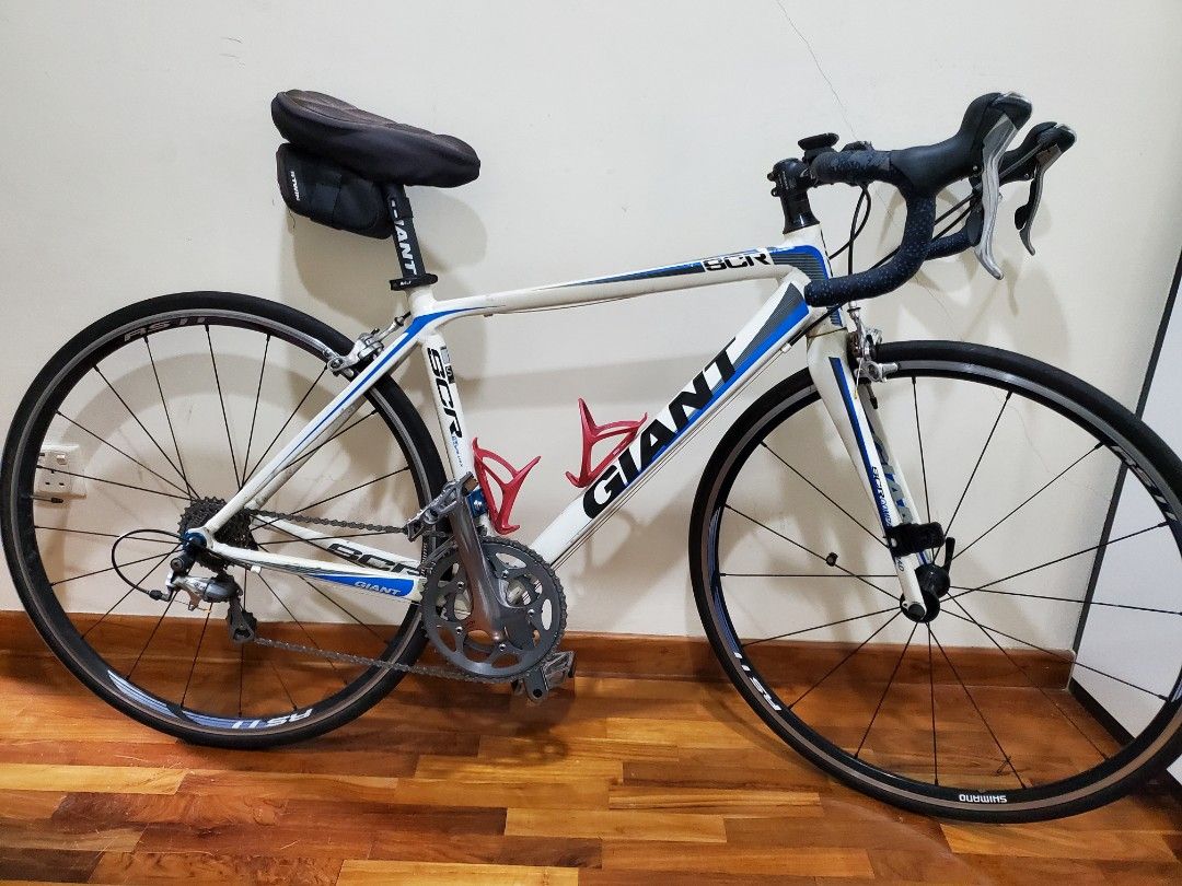 Giant scr 0 2025