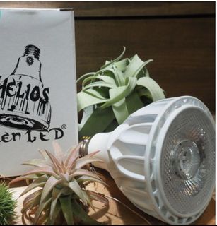 新燈推薦看內文最新版本Helios Green LED HG24 植物生長燈全光譜日本進口塊根植物觀葉龍舌蘭| 蝦皮購物