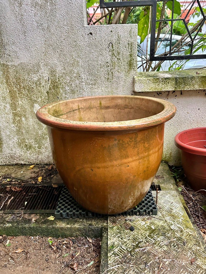 [FREE] Large ceramic pot, Furniture & Home Living, Gardening, Pots