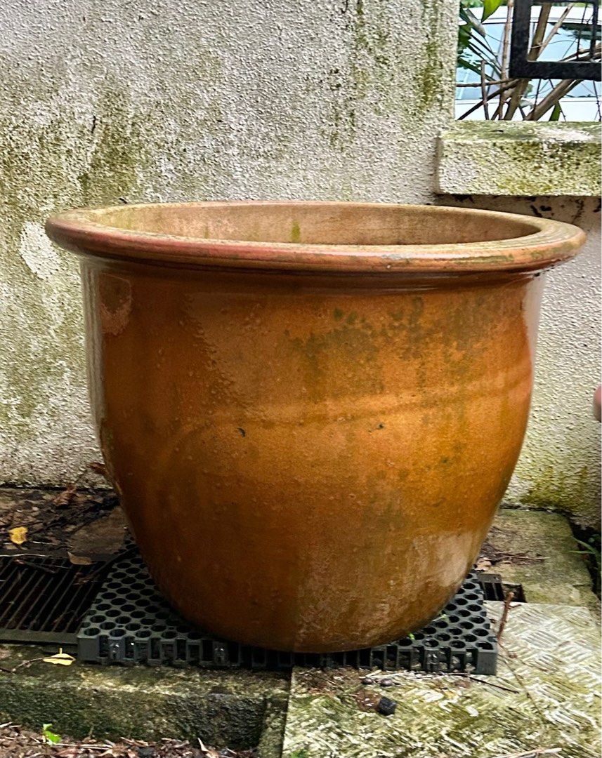 [FREE] Large ceramic pot, Furniture & Home Living, Gardening, Pots