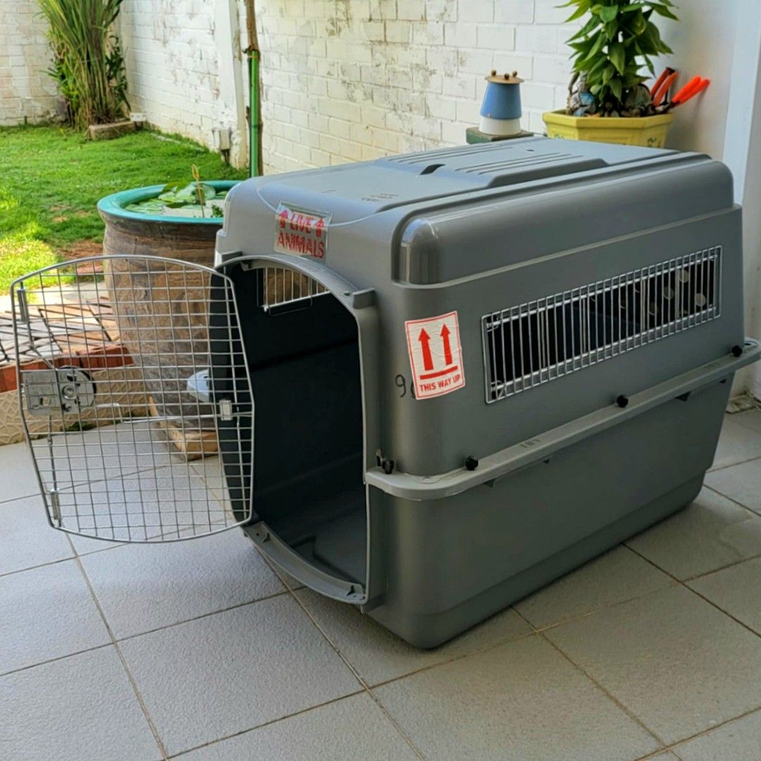 Pet Carrier/Cage, Pet Supplies, Homes & Other Pet Accessories on Carousell