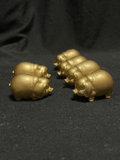 6隻金豬