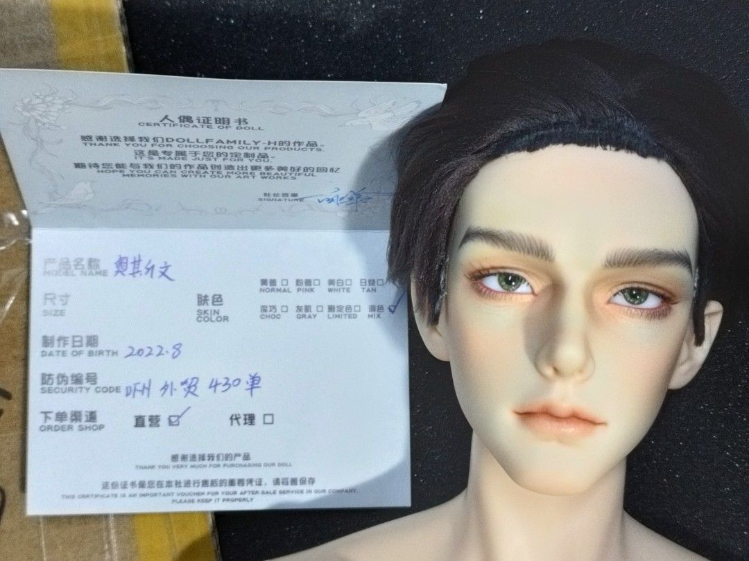 BJD Doll Family H Oswin Head