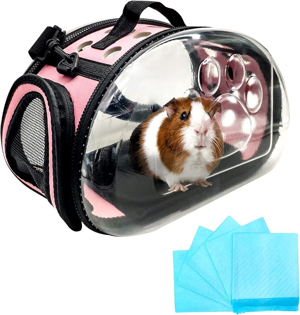 Disposable top pet carrier