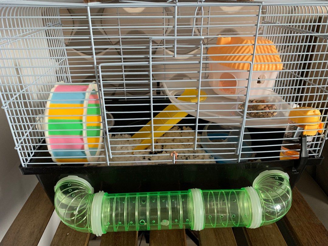Hamster cage, Pet Supplies, Homes & Other Pet Accessories on Carousell
