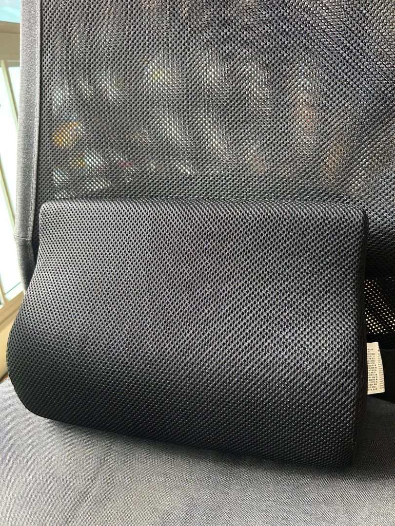 IKEA BORTBERG Lumbar Cushion / Back Support , Furniture & Home Living