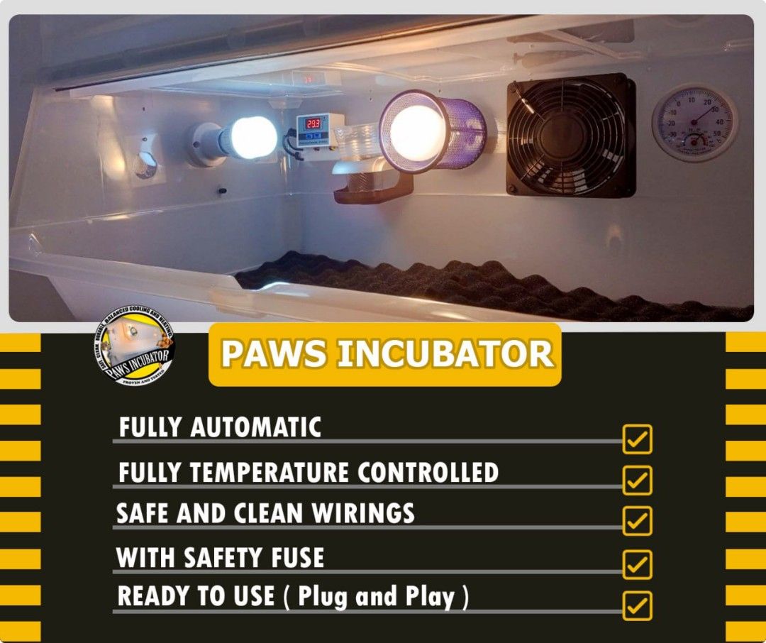 INCUBATOR FOR PUPPIES AND KITTENS on Carousell