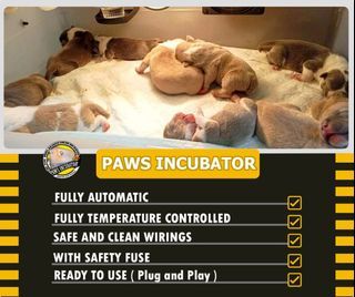 INCUBATOR FOR PUPPIES AND KITTENS