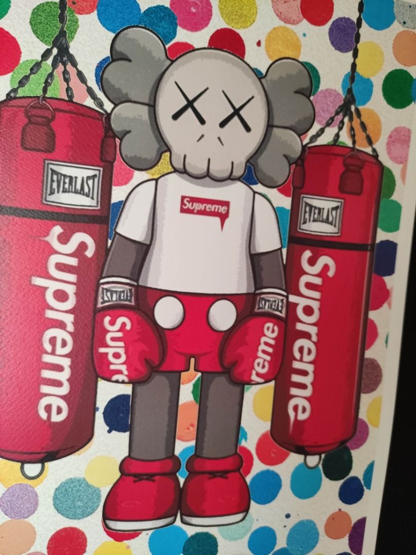 DEATH NYC 世界限定100枚KAWS カウズCOMPANION Damien Hurst ダミアン
