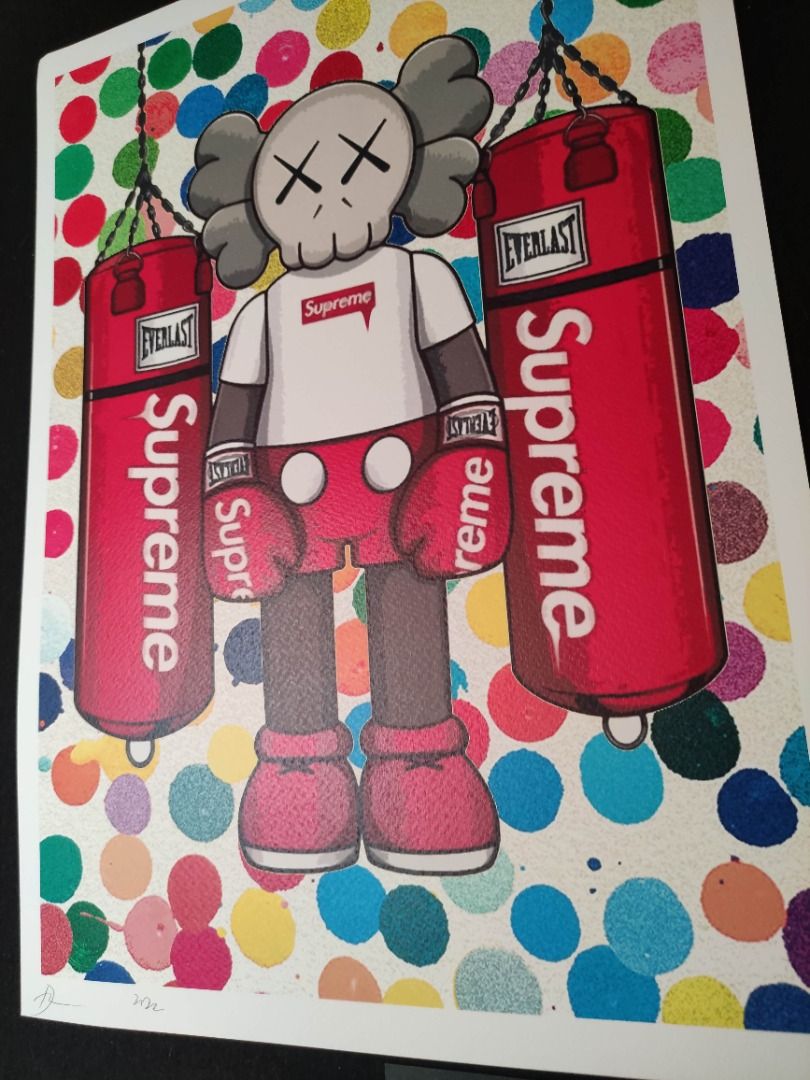 DEATH NYC 世界限定100枚KAWS カウズCOMPANION Damien Hurst ダミアン