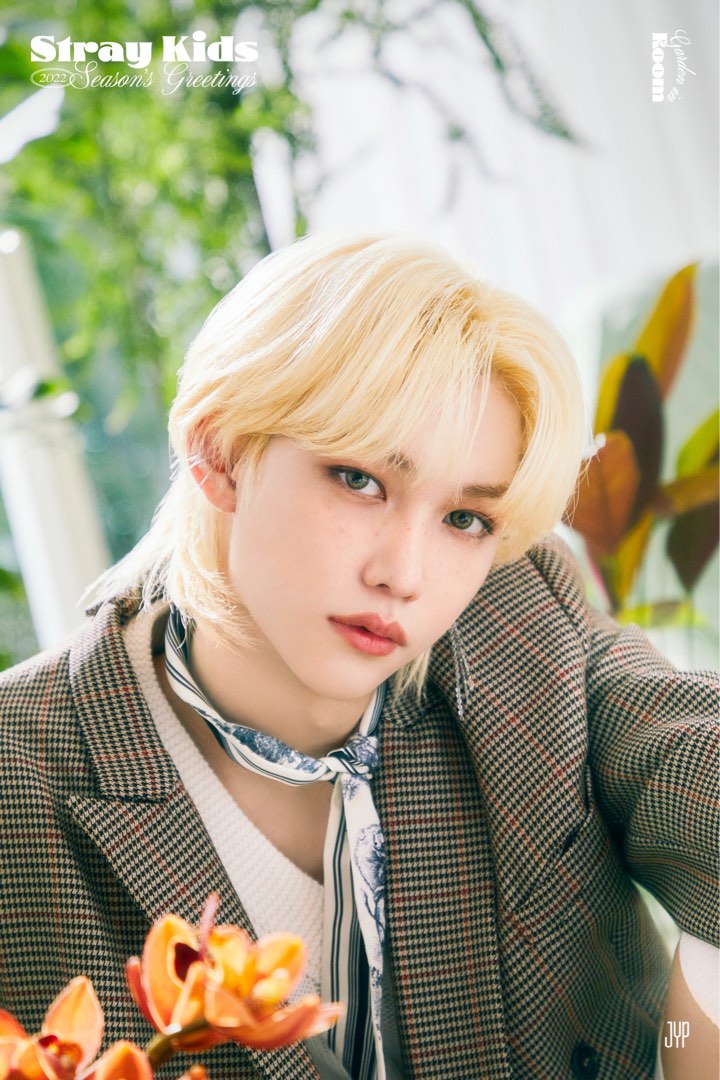 [LF] Stary Kids Felix PCs and merch, Hobbies & Toys, Memorabilia
