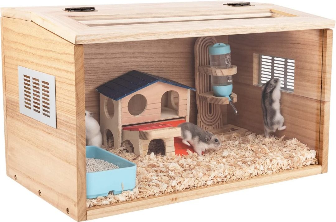 Syrian hamster cheap natural habitat