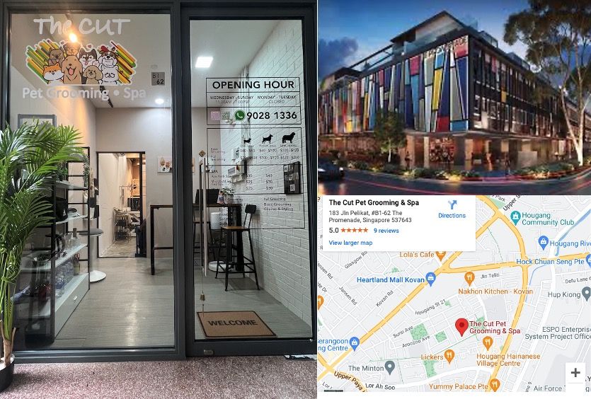 Pet Grooming (Sengkang/Punggol) & transport pickup, Pet Supplies