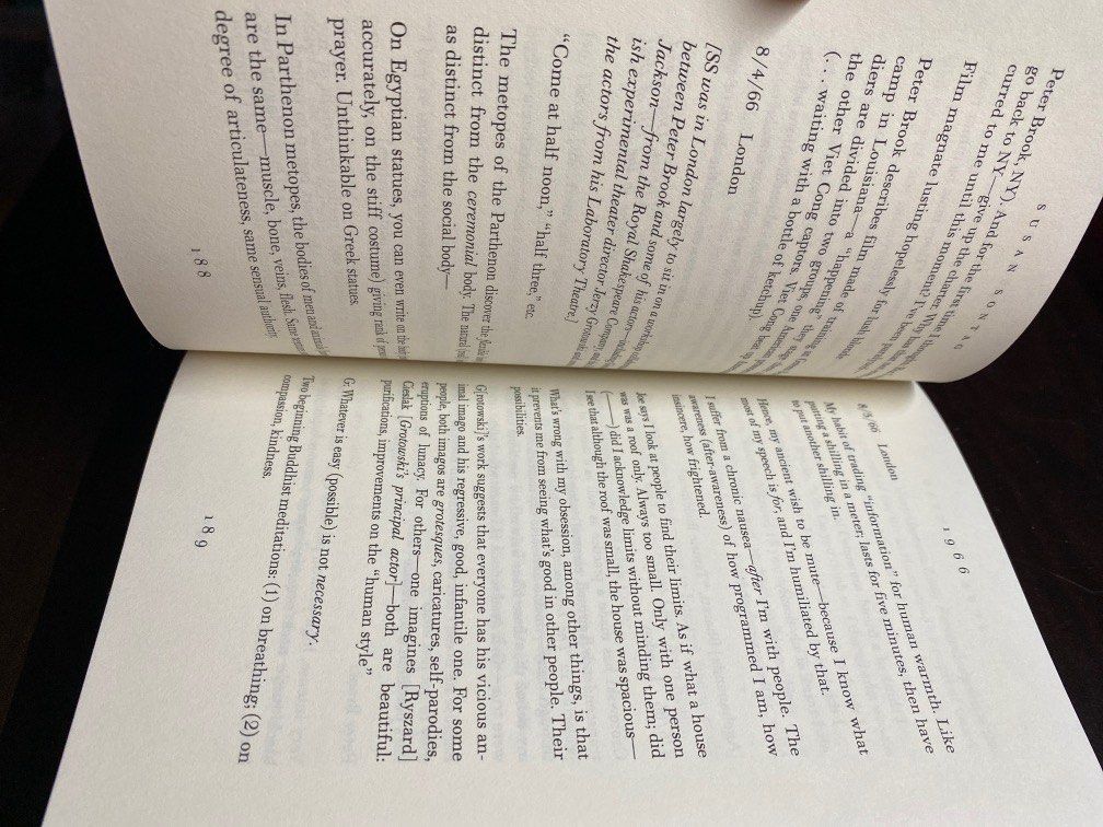 Susan Sontag Journals and Notebooks, Hobbies & Toys, Books