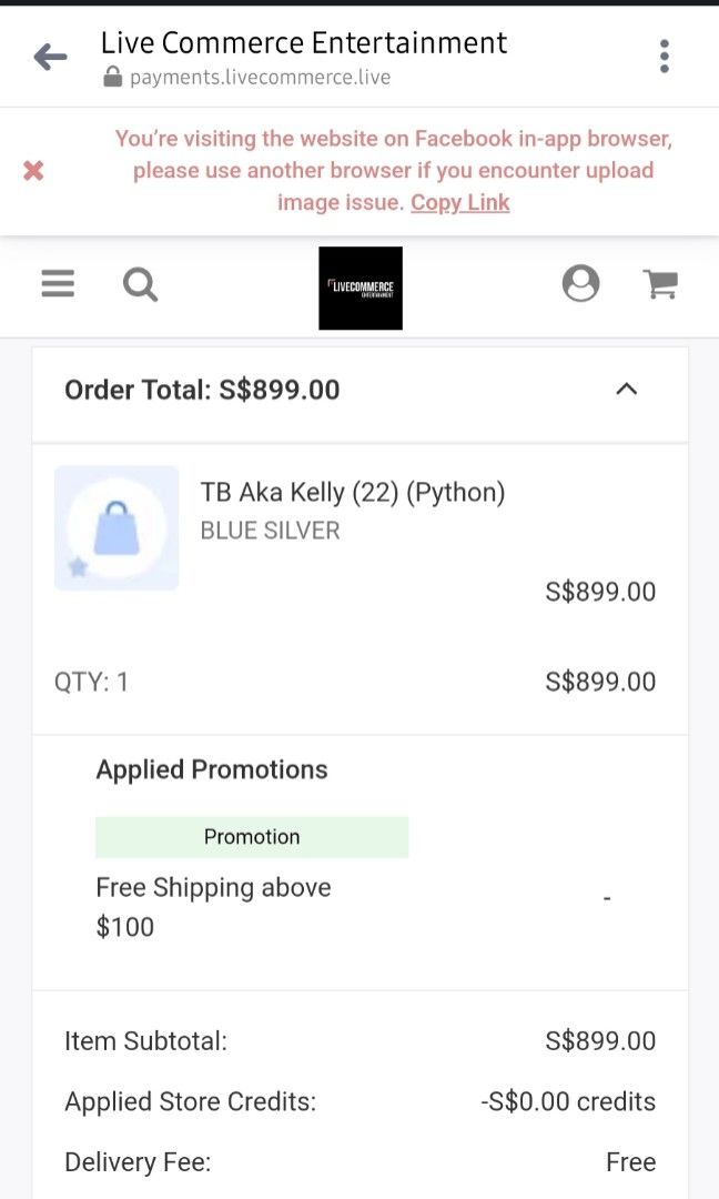 Tornabuoni aka Kelly 22 in real python skin, Women's Fashion, Bags ...