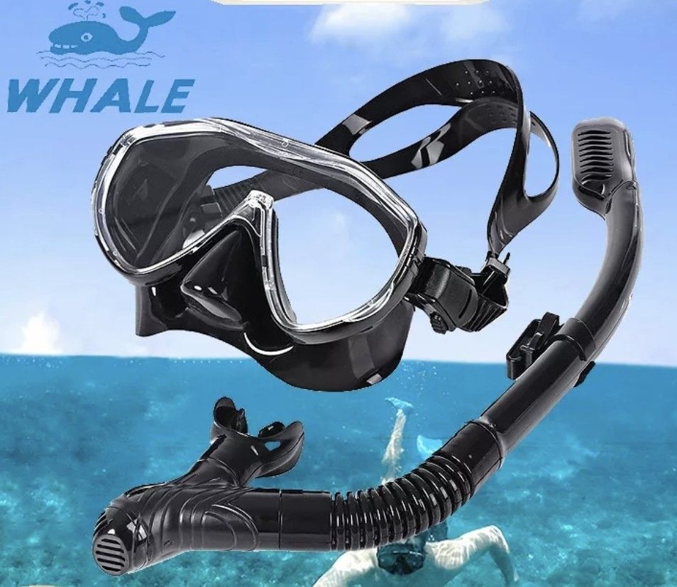 Whale Diving Snorkeling Gear Goggle and Snorkel Set 50 Off, Sports
