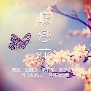（分類：）位於 。 由 caffebear1 提交（商品編號 1225949818，圖片 1）。簡介： 。