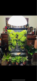 （分類：）位於 。 由 jackygor93 提交（商品編號 1226101613，圖片 1）。簡介： 。