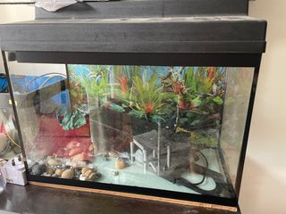 (Category: ) located in . Submitted by benten_10 (Listing ID 1226056945, Image 1). Description: .