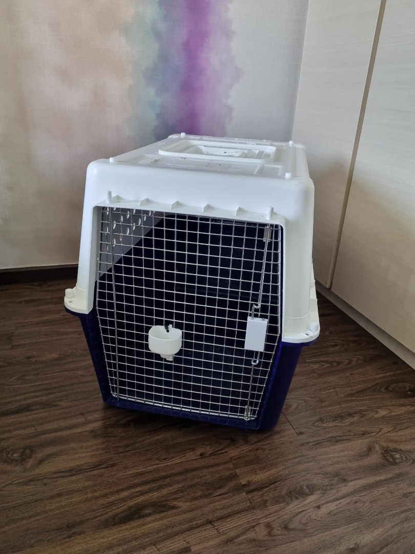 Crate, Pet Supplies, Homes & Other Pet Accessories on Carousell