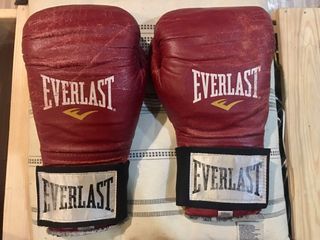 Everlast Boxing Gloves 10oz