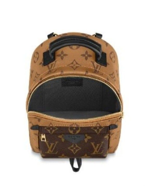 10 Mini Palm Springs backpack ideas  spring backpacking, louis vuitton  backpack, louis vuitton palm springs mini