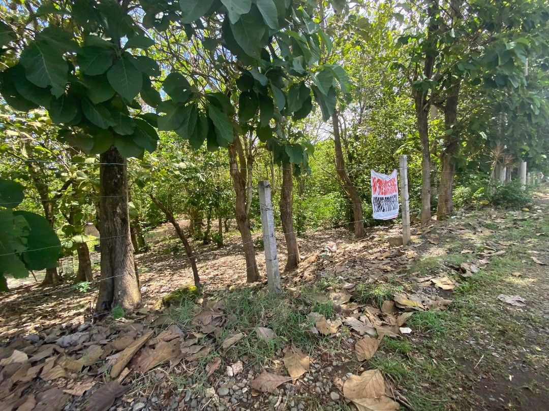 RUSH SALE BUTUANCAGAYAN ILIGAN COMMERCIAL / INDUSTRIAL LOT CAGAYAN DE