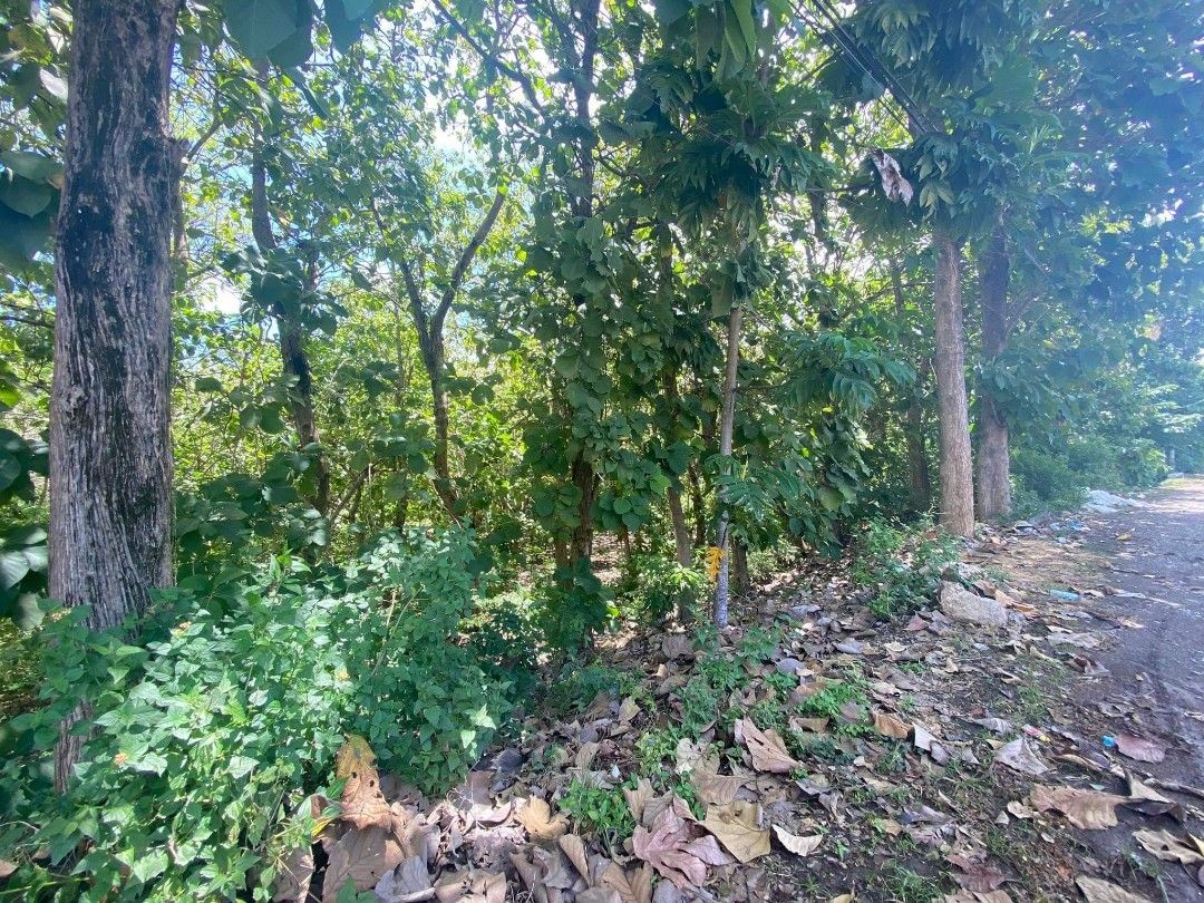 RUSH SALE BUTUANCAGAYAN ILIGAN COMMERCIAL / INDUSTRIAL LOT CAGAYAN DE