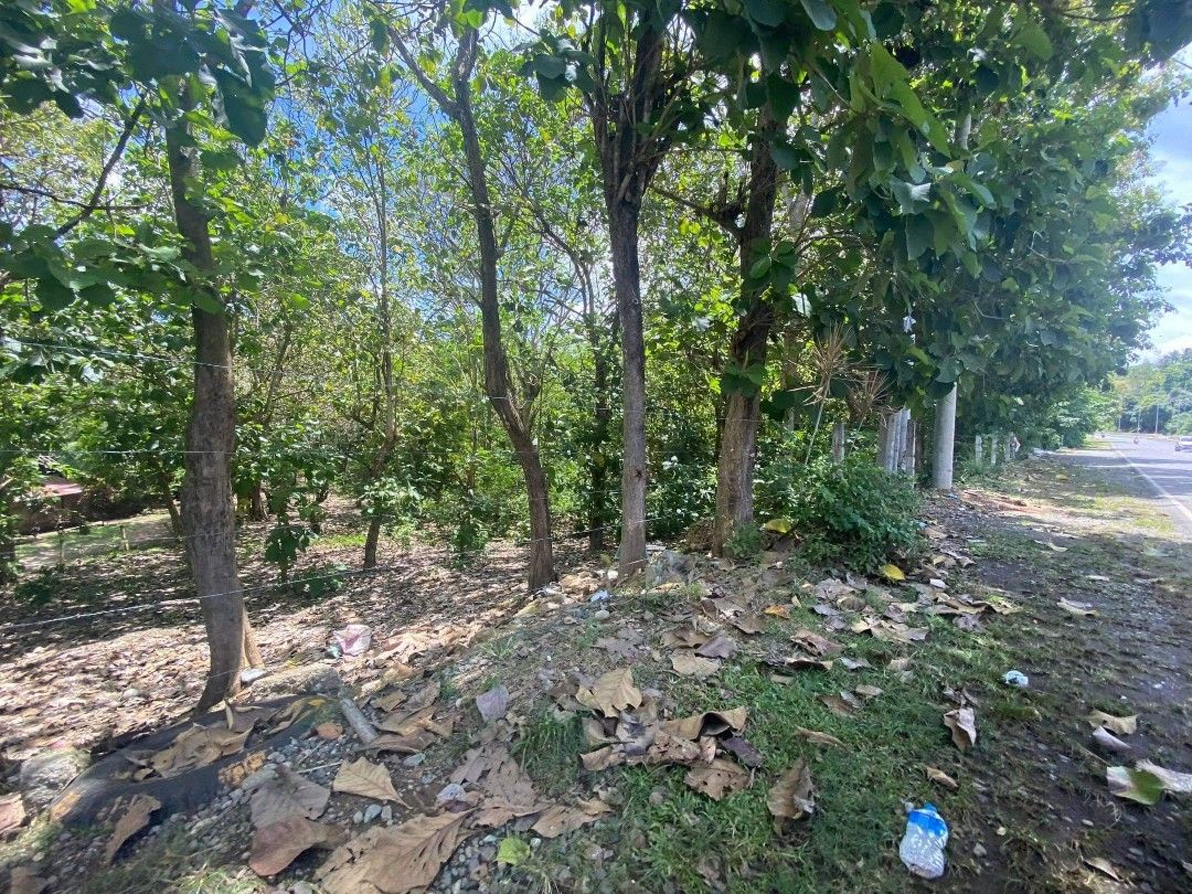 RUSH SALE BUTUANCAGAYAN ILIGAN COMMERCIAL / INDUSTRIAL LOT CAGAYAN DE