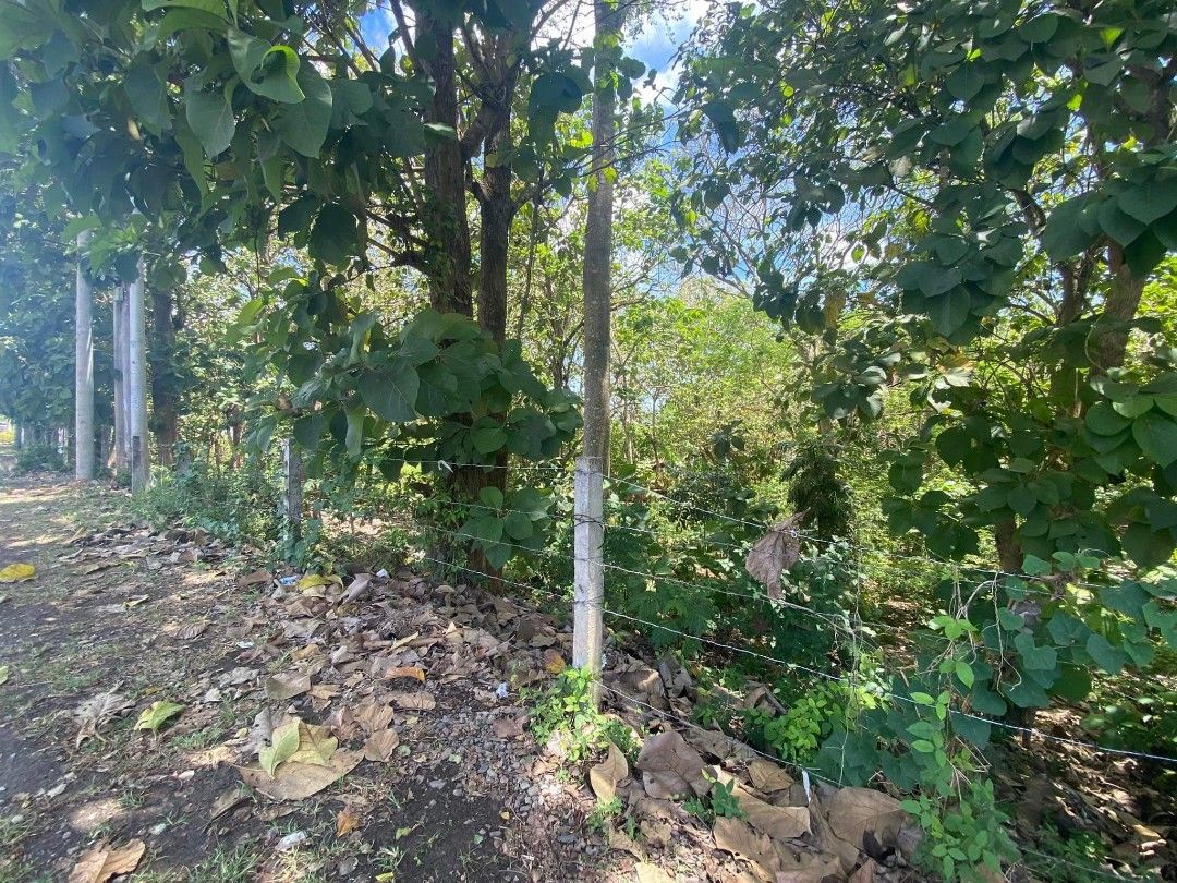 RUSH SALE BUTUANCAGAYAN ILIGAN COMMERCIAL / INDUSTRIAL LOT CAGAYAN DE