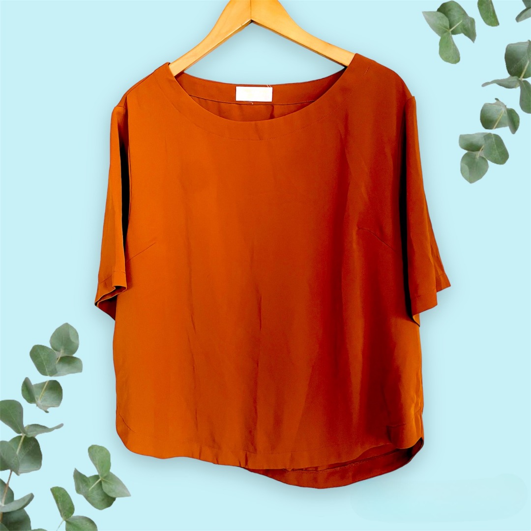 Rust Casual Work Top on Carousell