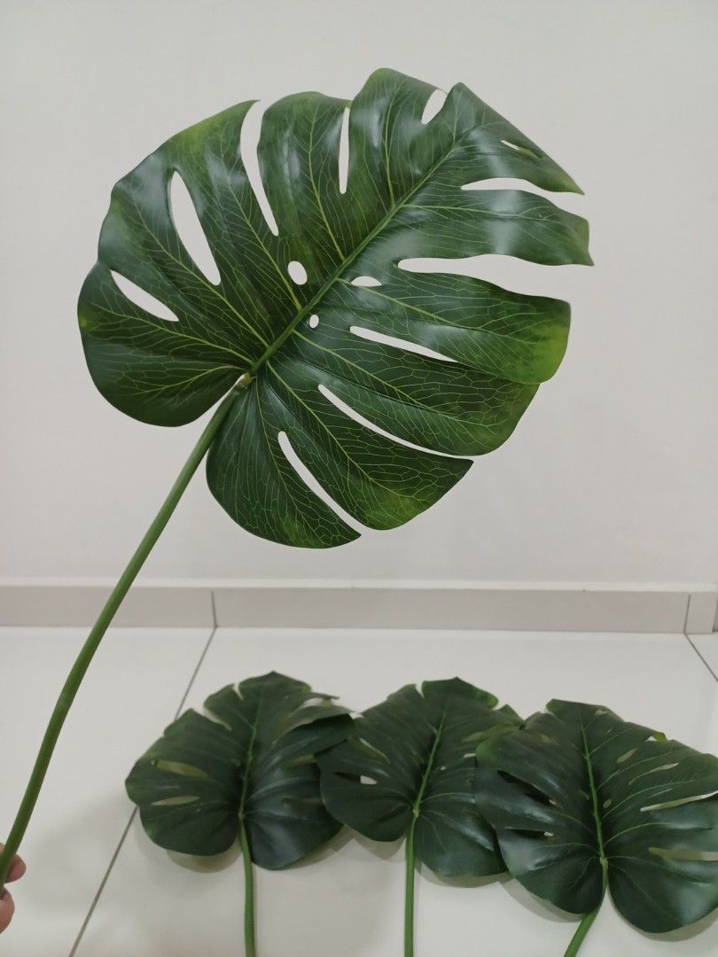 IKEA Artificial Monstera (price for 4), Furniture & Home Living, Home