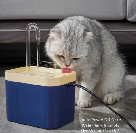 Electric cat on sale water fountain