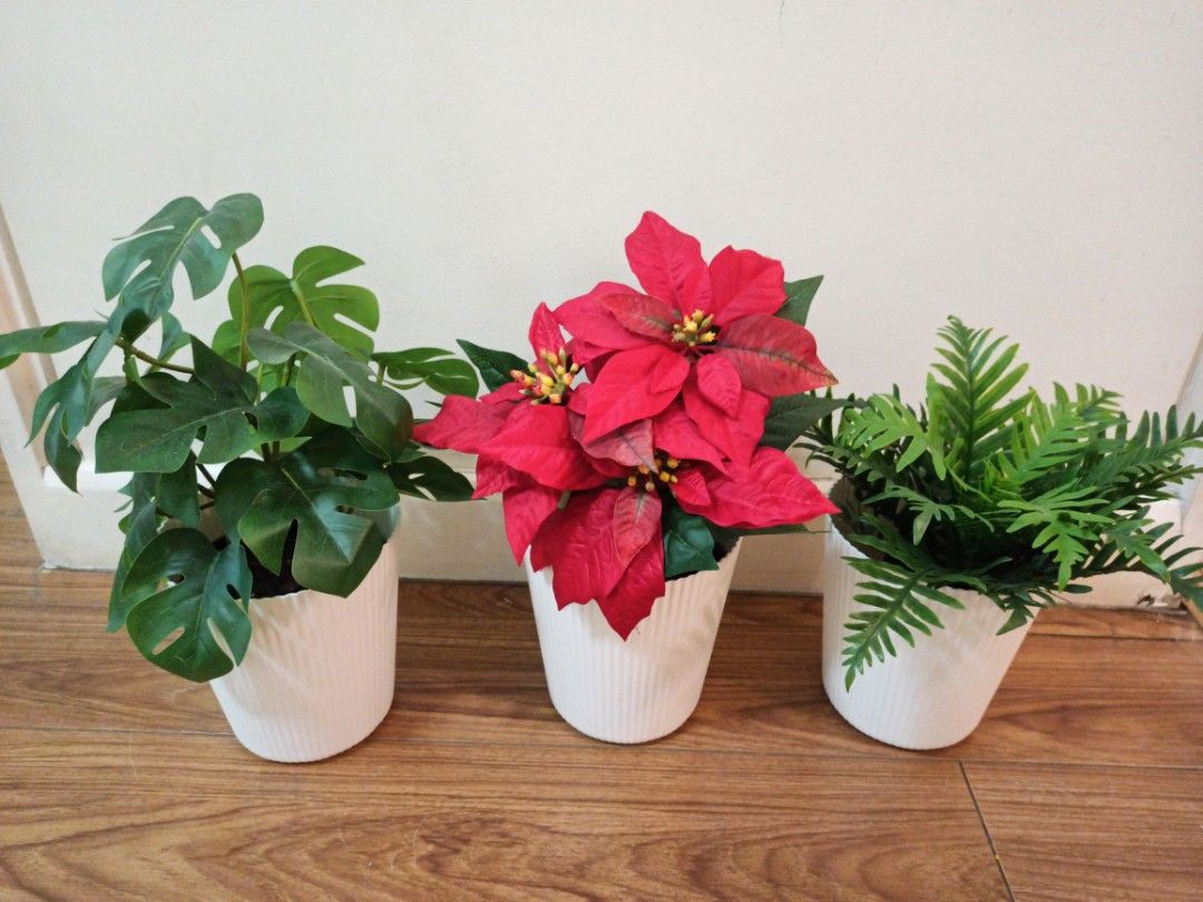 [50% OFF] IKEA Artificial Plant with White Pot (Category: Artificial Plants & Flowers) located in Makati City. Submitted by janebubba (Listing ID 1226208924, Image 1). Description: Artificial Plant comes with White Pot 1 For PHP 200 Take all 3 For PHP 600 Condition: Tip Top Brand: IKEA *Preferably self collect from Grand Midori Makati *Lalamove or Grab Delivery available (fee borne by buyer) *Free Gift available upon purchase.