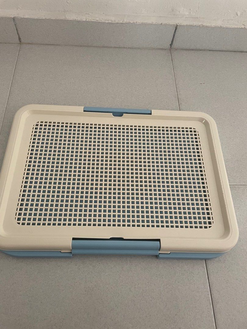 Dog pee tray, Pet Supplies, Homes & Other Pet Accessories on Carousell