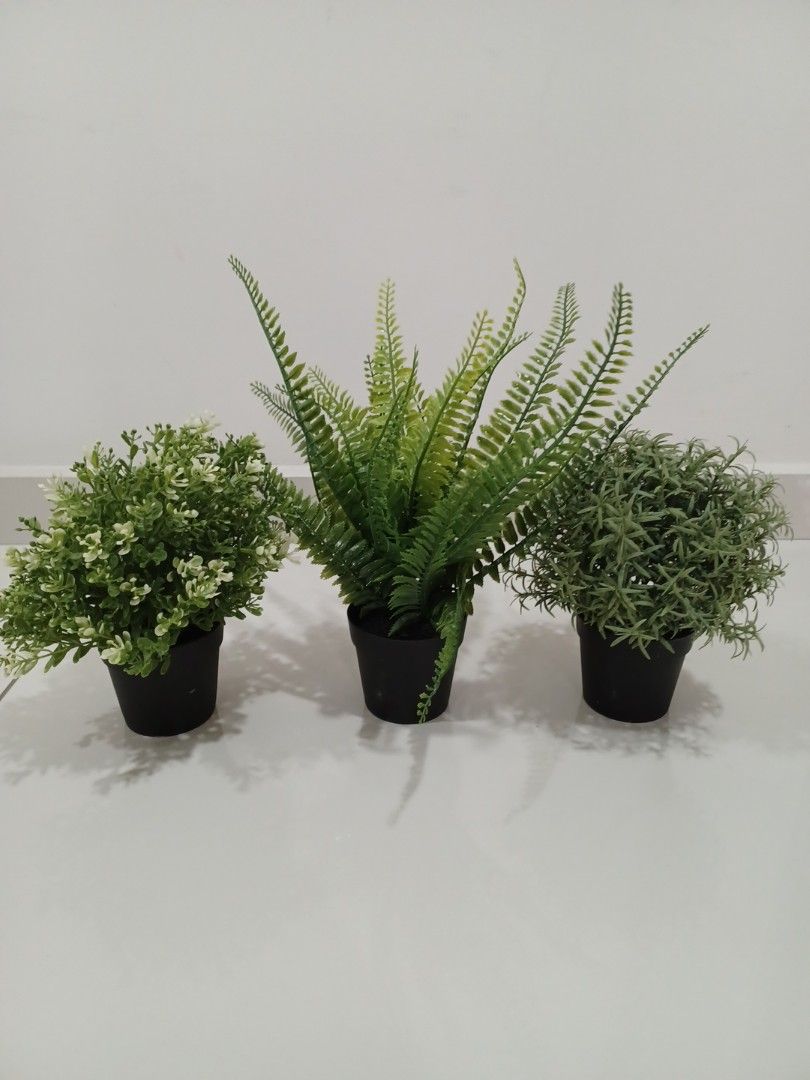 FEJKA IKEA artificial plants (3 pots), Furniture & Home Living, Home