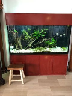 (Category: ) located in . Submitted by TCG02 (Listing ID 1226240897, Image 1). Description: .
