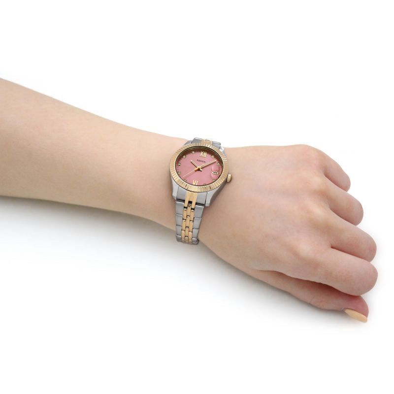 Es fossil online