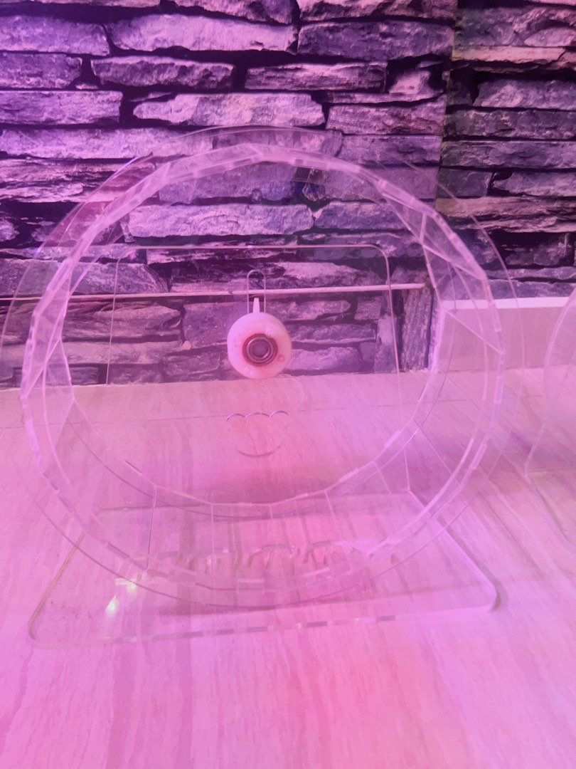 Hamster wheel, Pet Supplies, Homes & Other Pet Accessories on Carousell