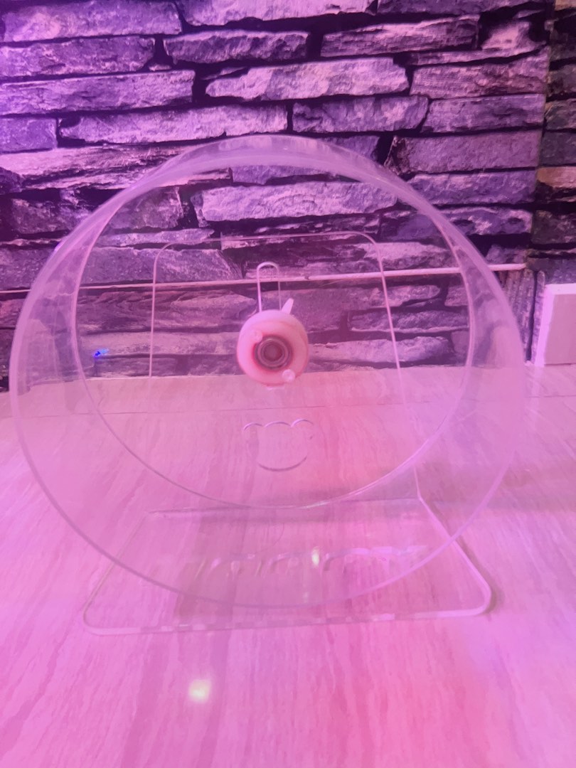 Hamster wheel, Pet Supplies, Homes & Other Pet Accessories on Carousell