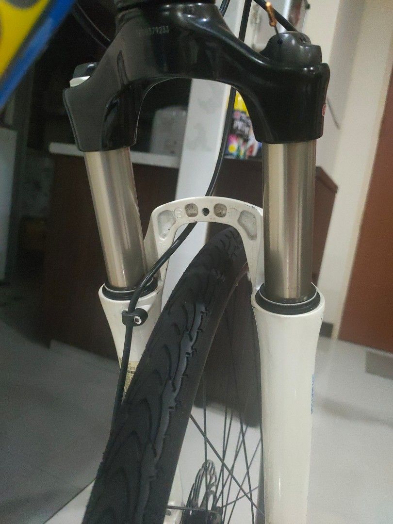Mongoose reform top