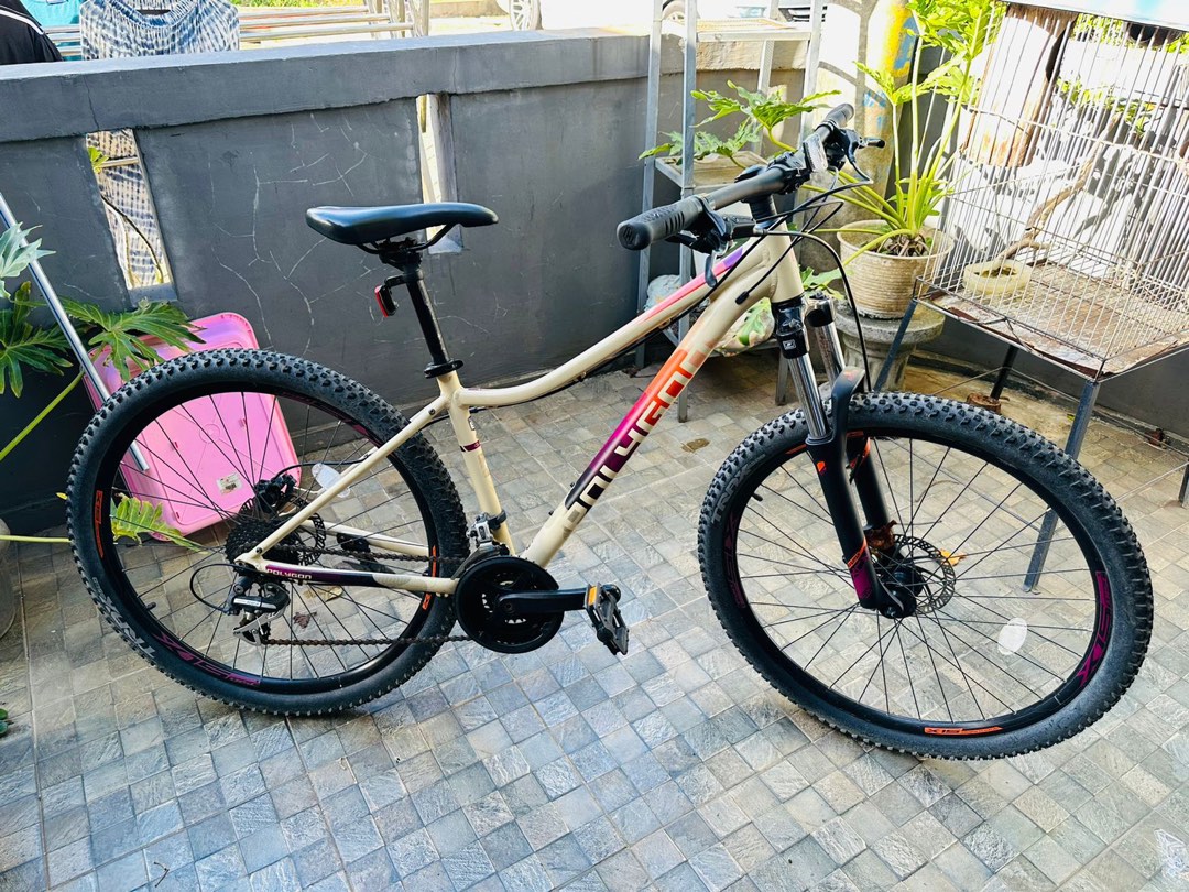 polygon cleo 2.0 2019